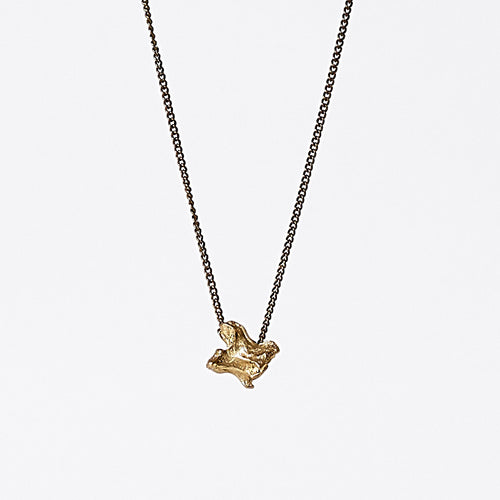 treasure nature bone brass necklace #1