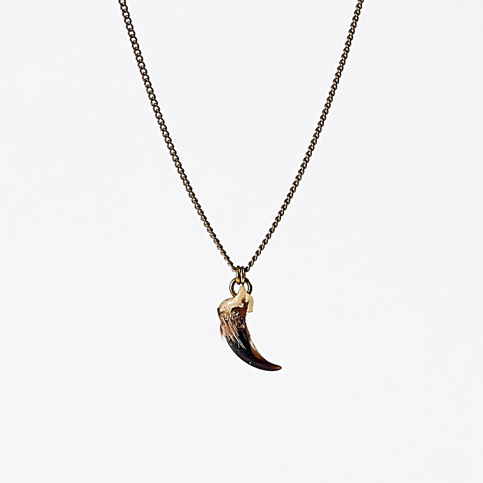 nature claw brass necklace #1