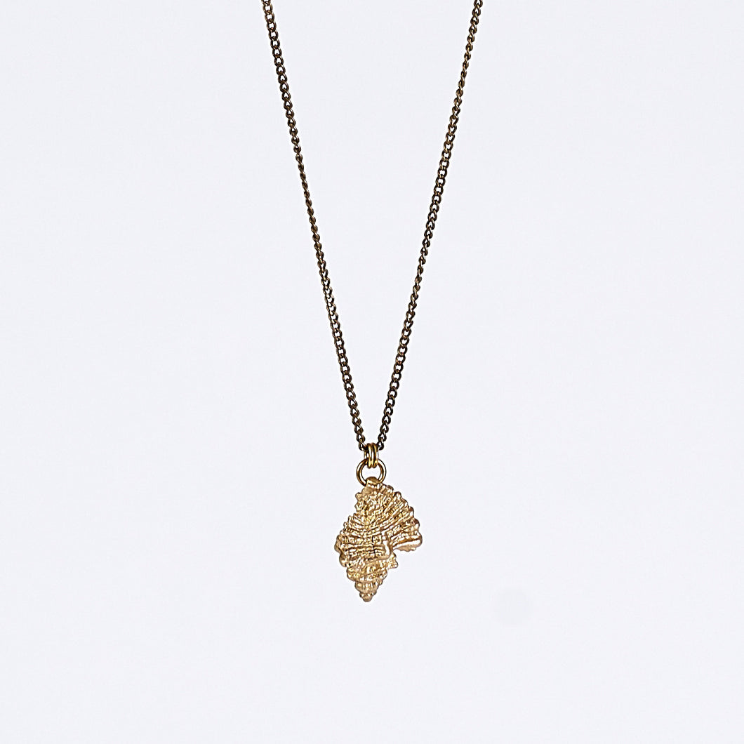 treasure nature shell brass necklace #2